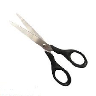 Scissors Big 200mm Scissor Regional Per Pc