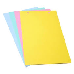 Regional Cardboard File Divider A4 Per Pkt