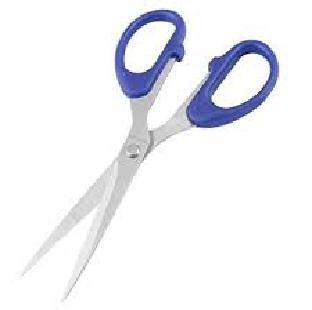 Scissors Medium 165mm Scissor Regional Per Pc