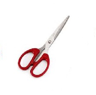 Scissors Small 125mm Scissor Regional Per Pc