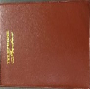 Phone Diary (Medium)