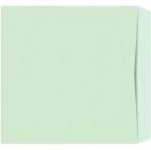 Parcel Envelopes-Small