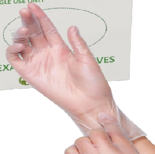 Disposable Vinyl Hand Gloves (Pack of 100)