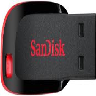SanDisk Cruzer Blade Pen Drive 32 GB