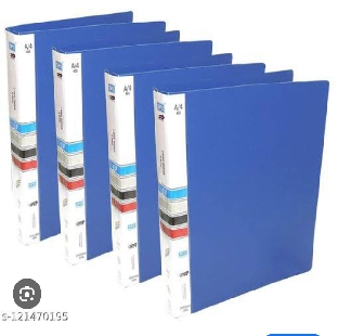 Ring binder file