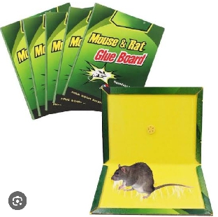 Rat Glue Pad