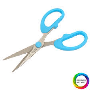Scissors Medium 5.5 Inch
