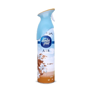 Room freshener sandal ( Ambi pur)