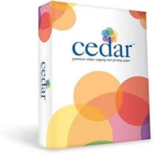 Jk Cedar Paper A4 100 Gsm 500 Sheet