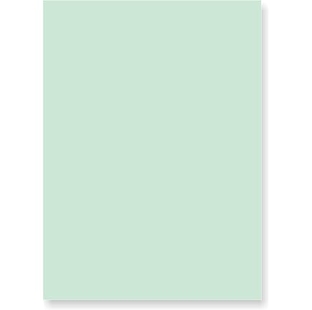 Ledger Paper Fs 80Gsm 500Sheets Per Ream
