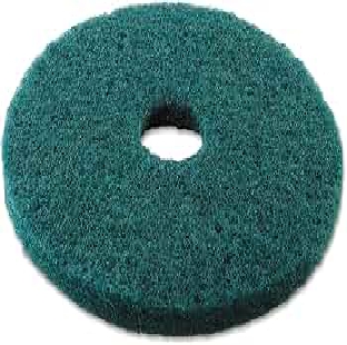 Scrub Pad 17 "