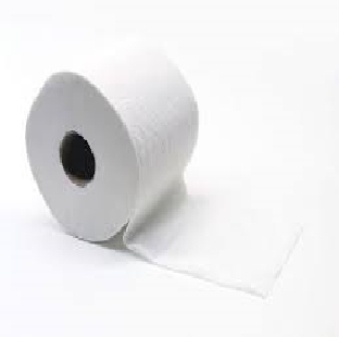 Toilet Roll 100 Grms