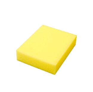 SPONGE