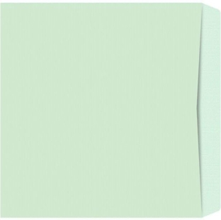 Dash Cloth Envelope (11" x 5") - 50 pcs. (Pack)