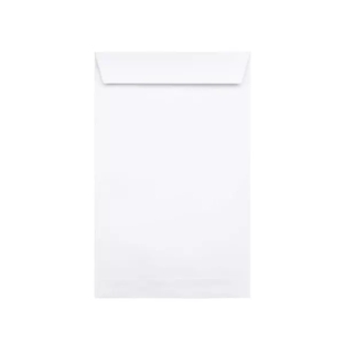 Dash Paper Envelope (11" x 5", White) - 100 pcs. (Pack)
