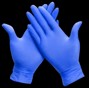Eden Care Surgical Hand Gloves (Standard, Blue) - 100 pcs. (Pack)