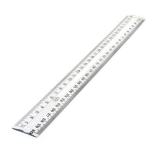 Plastic Scale 12”